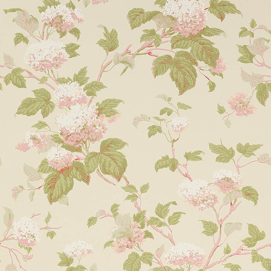 Colefax And Fowler Wallpaper  Shop Online  Worldwide Shipping